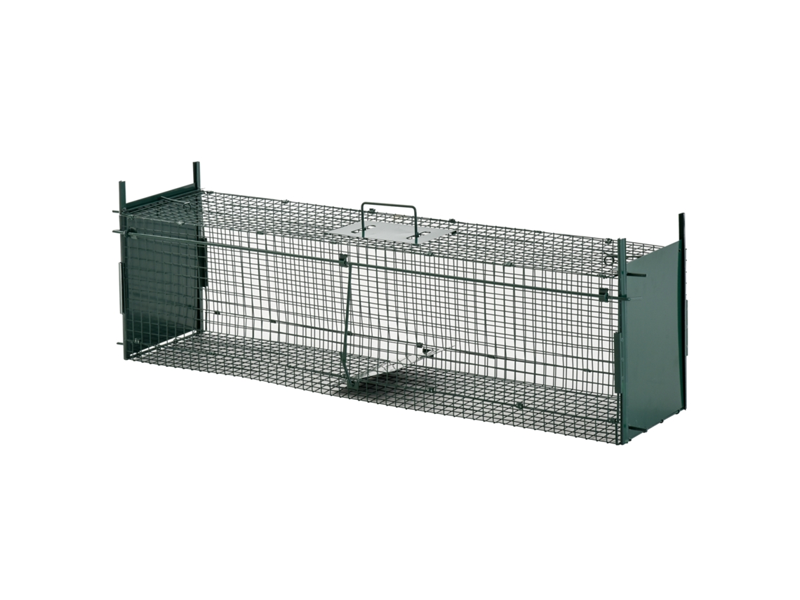 Barraca de Camping BISBISOUS para 4 pessoas com 2 áreas e bolsa 430x240x170cm
