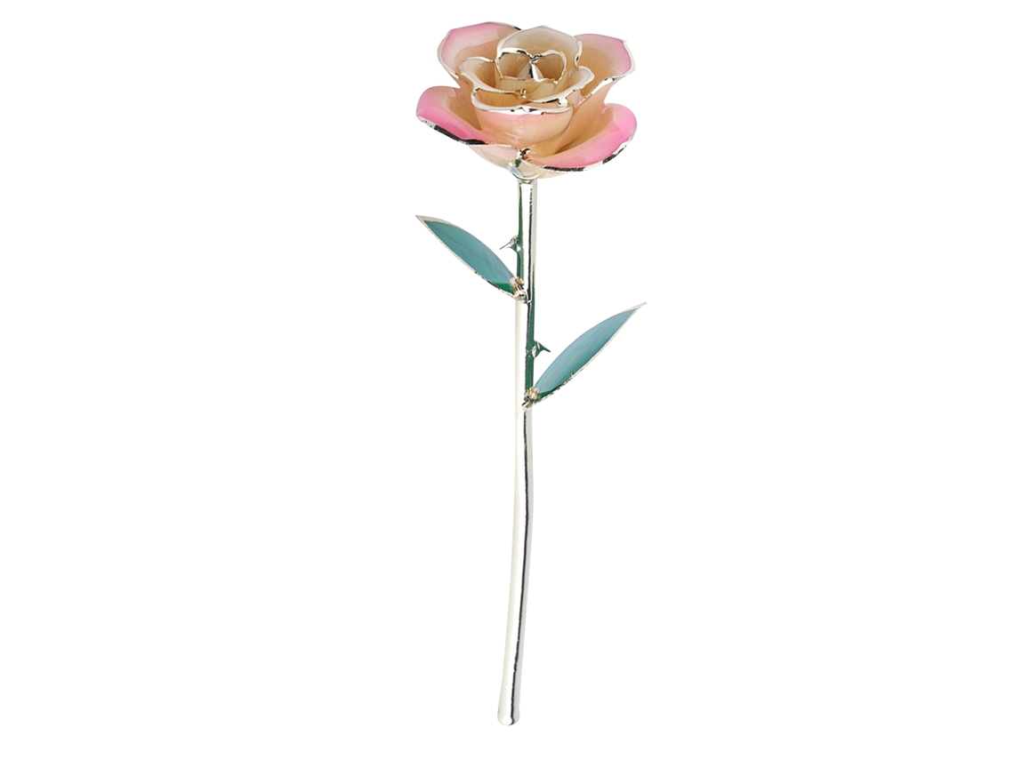 Rosa Plateada Em Ouro 24k Com Folha Verde Base Branca Rosa Decoração Presente Para Dia De São Valentim