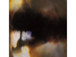 CD Animal Collective - Fall Be Kind (1CDs)