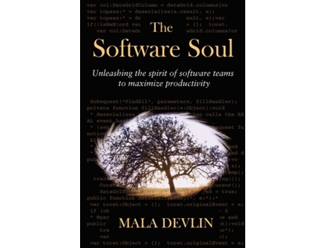 Livro The Software Soul Mala Devlin (Inglês)