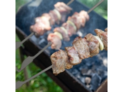 Espetos de Churrasco Planos de Titânio 10un