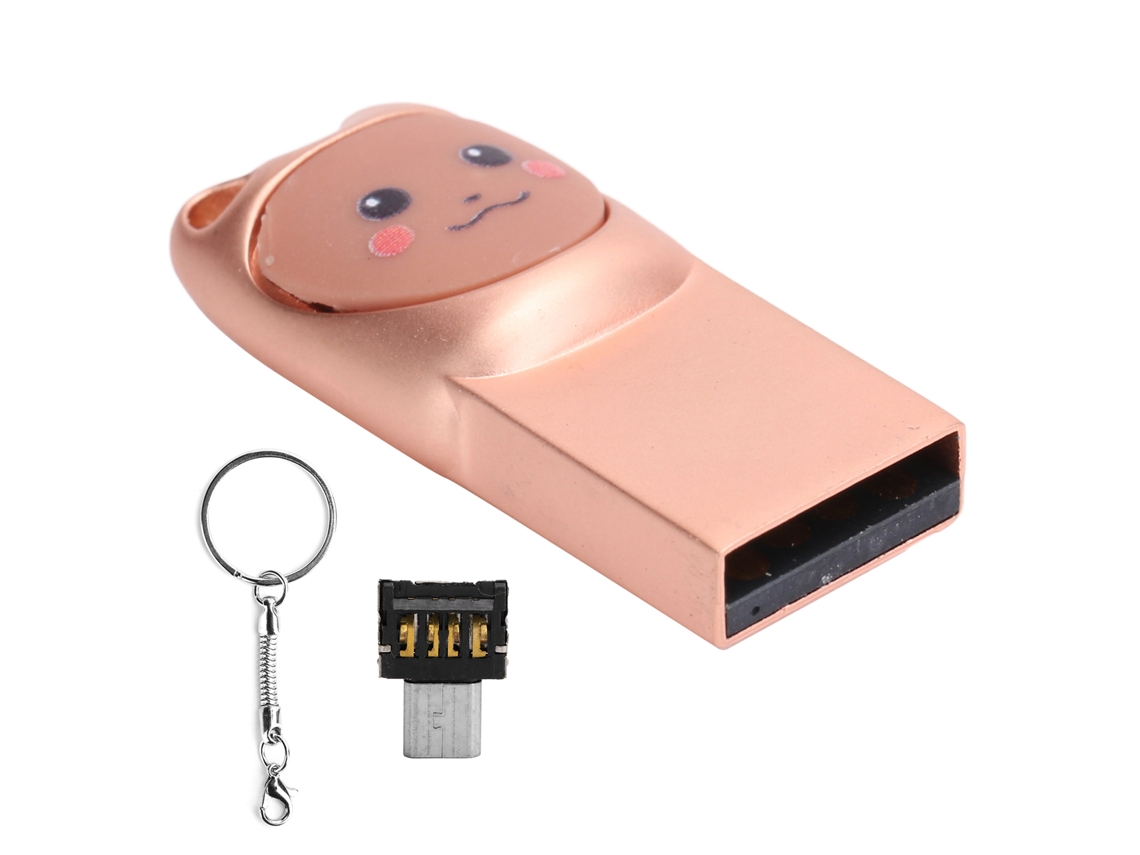 Pen Drive Usb 2.0 Portátil LAXISCREED