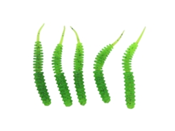 Isca De Bait Soft Pupa Com Cauda Reta Verde 5un