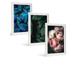 Conjunto De Pinturas Folhas, Flores, Várias Cores Espelharte (3 Peças 40x60 Cm)