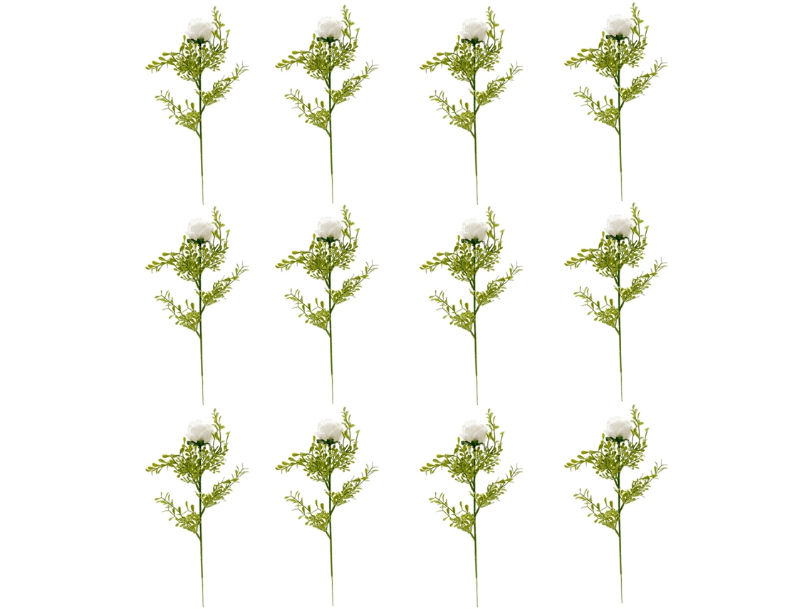 Hemerocallis Creme Branco Série B Talo Único