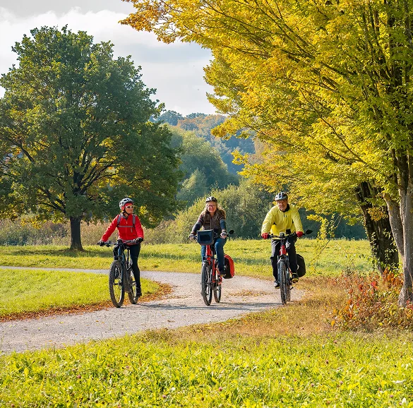 Bicicleta elétrica para desporto