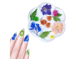 1 Caja Flor Seca 6 Cuadrículas Decoración De Uñas Diy Arte De Uñas Flores Falsas Para Manicure Decoración De Uñas 06