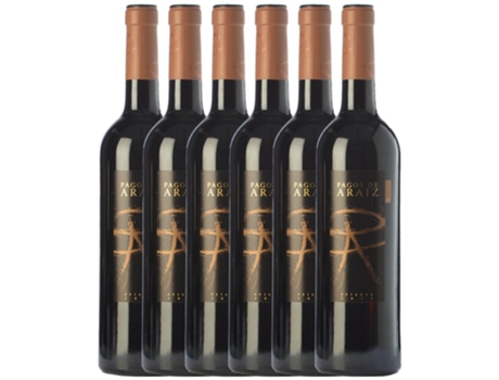 Vinho PAGOS DE ARÁIZ Pagos De Aráiz Navarra Crianza (0.75 L - 6 unidades)