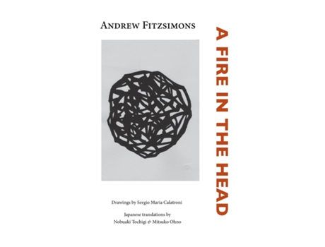 Livro A Fire In The Head De Andrew Fitzsimons (inglês)