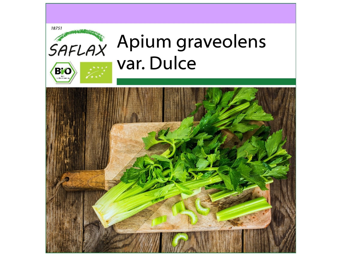 SAFLAX Orgânico Aipo Alto Utah Apium Graveolens Var. Dulce 500 Sementes
