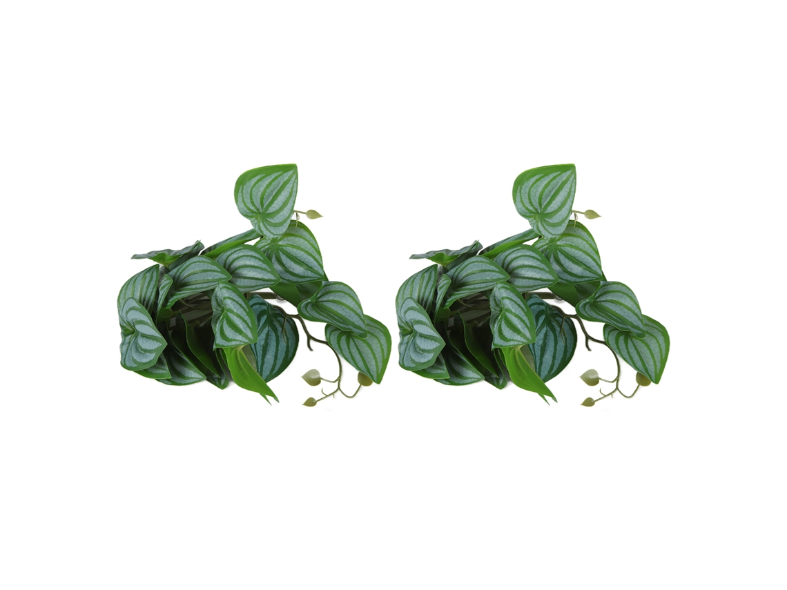 Vinha Plástica Folha Melancia Aquário Com Ventosa 2pcs