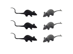 12pcs Rato De Brinquedo De Halloween Para Decorações De Halloween Allinless