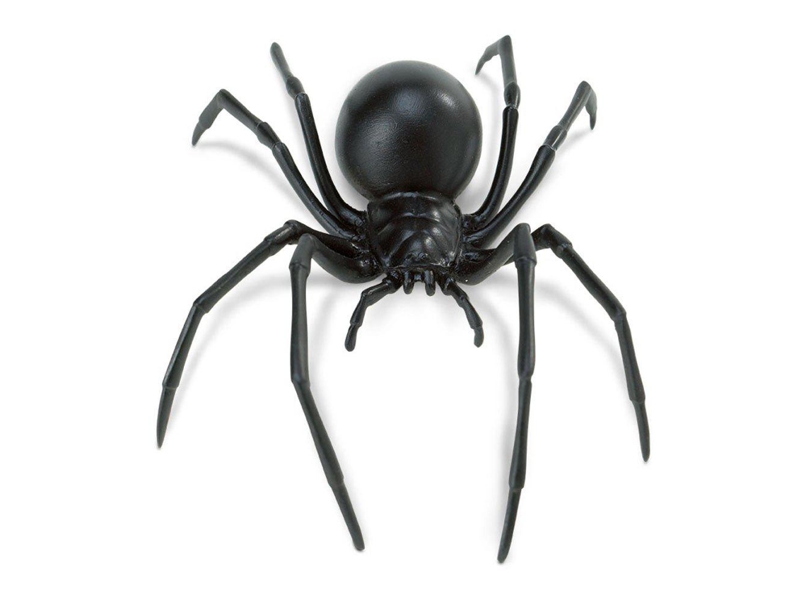 SAFARI Black Widow Spider