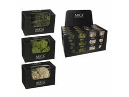 Planta Decorativa Mica Decorations 50 g Musgo