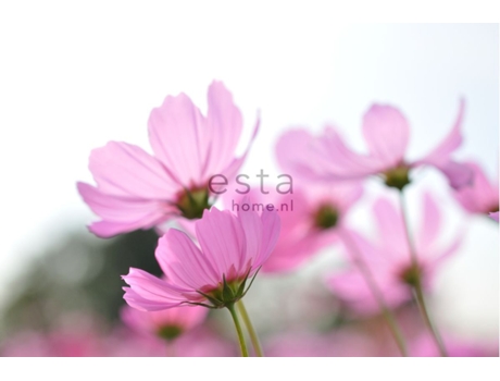 Fotomural ESTAHOME (418,5 cm x 279 m - Tecido - Rosa)
