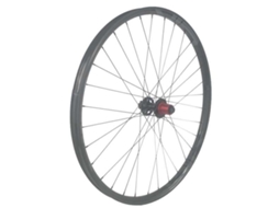 Roda Traseira Mtb Sl30 29´´ Disc Tubeless Prateado 12 X 142 Mm / Shimano Micro Splinegtr