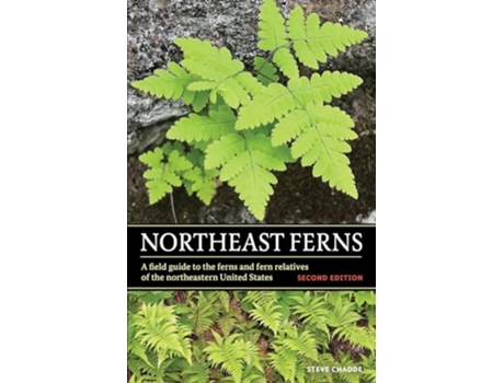 Livro Northeast Ferns A Field Guide to the Ferns and Fern Relatives of the Northeastern United States de Steve W Chadde (Inglês)