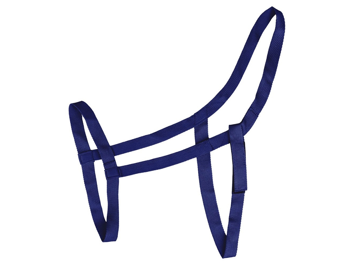 Cabeçada de Pastoreio Azul Ponywaldhausen