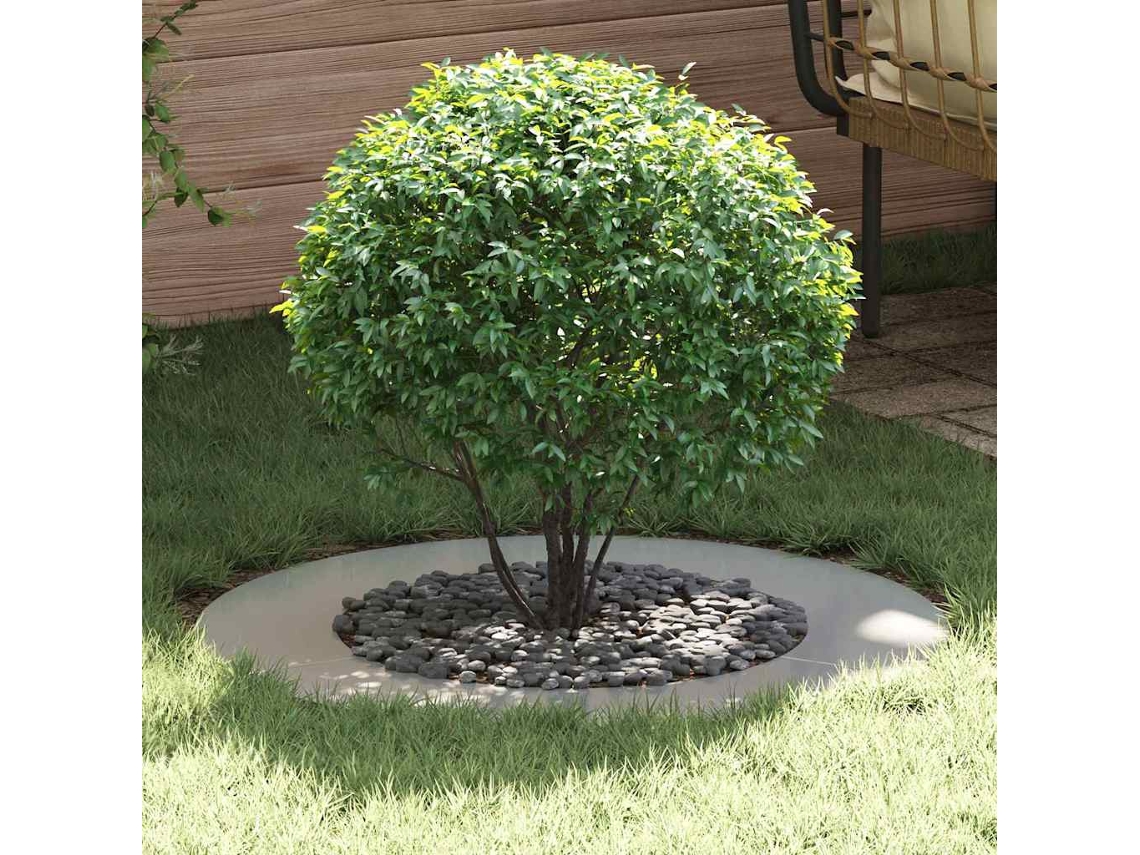 Vidaxl Adequado Para Anéis De Árvore Planos 5 Unid. Prateado Ø50/80 Cm