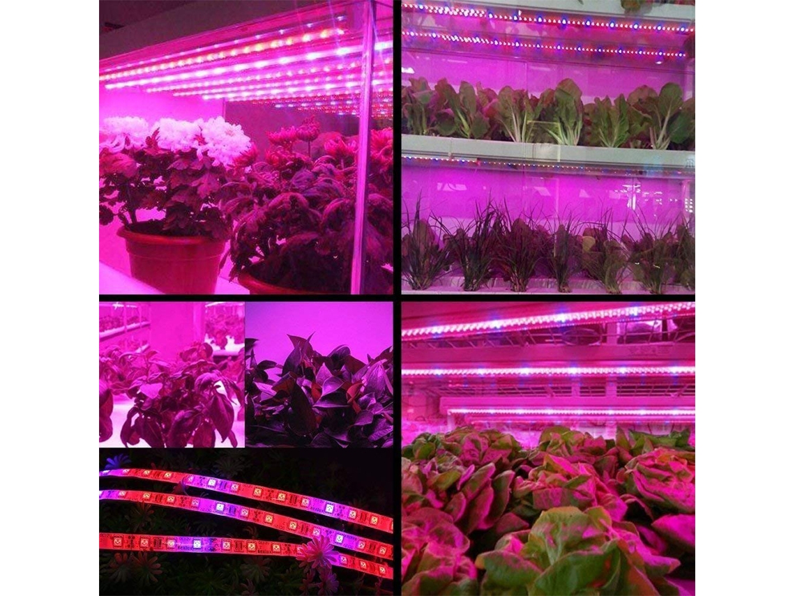 Rebe-cadena De Luces Led De Crecimiento Vegetal 5050 Smd Impermeable Para Invernadero