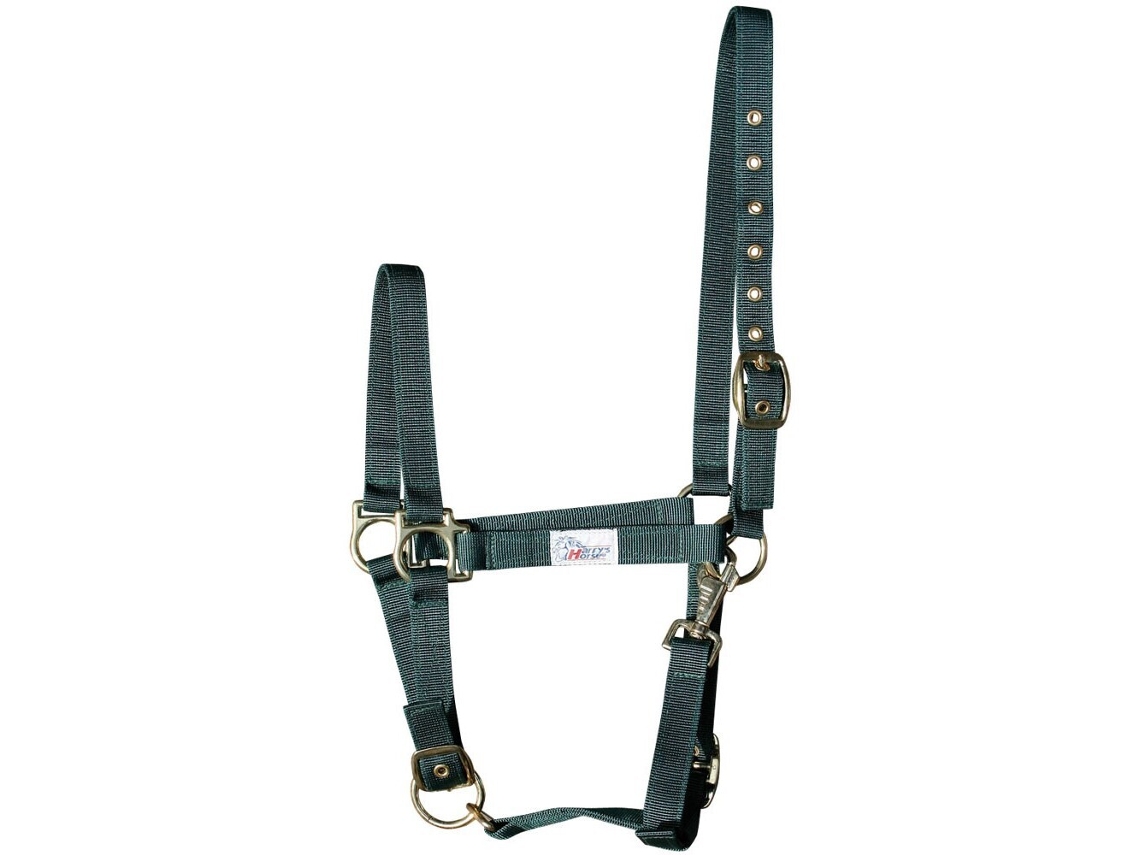 Conjunto de 3 cabresto de cavalos Harry's Horse