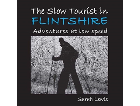 Livro the slow tourist in flintshir de sarah lewis (inglês)