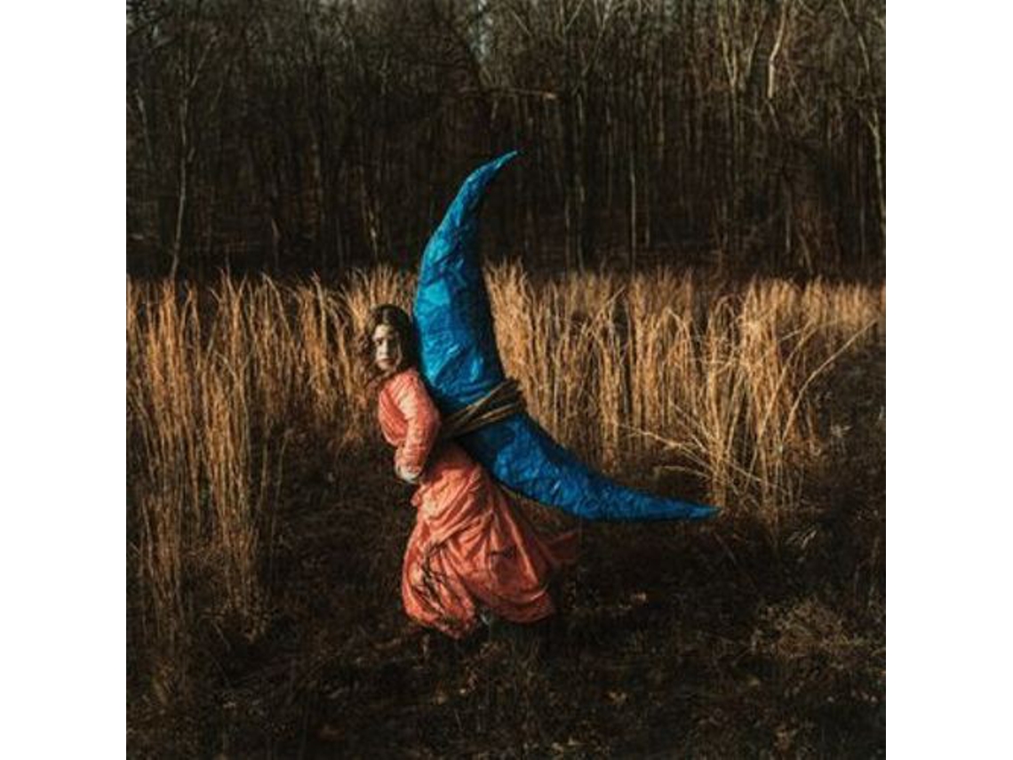 CD Holly Miranda - Mutual Horse