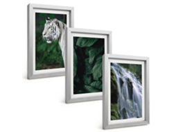 Composição De Quadros Folhas De Tigre Branco Em Cachoeira Espelharte (3 Peças 20x30 Cm)