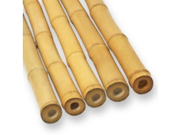 Pacote De 5 Bastões Decorativos De Bambu 11 13 Cm Comprimento 100 Cm Maderterraneo