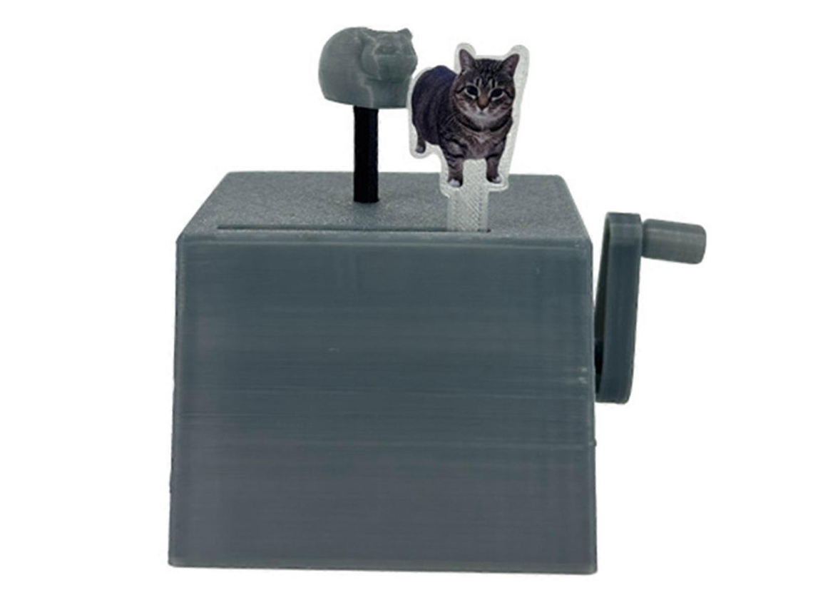 Oiia Brinquedos Para Gatos Infantis Que Fazem Sons Com As Mãos Caixa De Música Engraçada Aquaforge
