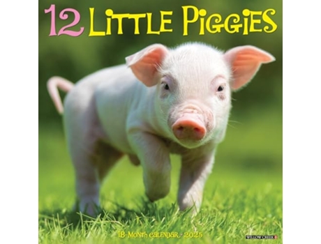 Livro 12 Little Piggies 2025 12 X 12 Wall Calendar de Willow Creek Press (Inglês)