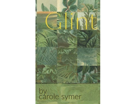 Livro Glint de Carole Symer (Inglês)