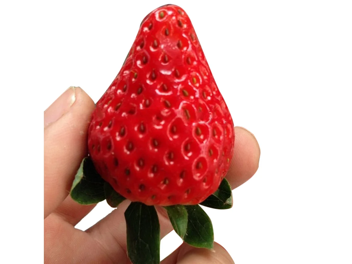 Sementes de Morango Vermelho Gigante LAXISCREED