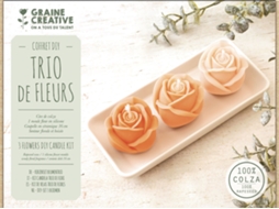 Kit Para Fazer Velas Artesanais Graine Creative Trio De Flores Com Tigela De Cerâmica