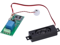 Módulo Reconhecimento Vocal Hlk-v20 32 Bits Risc Dsp Prend Charge Les Effets Sonores Appareils Ménagers