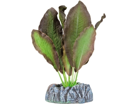 Adorno AQUATIC PLANTS Echinodorus (4 kg)