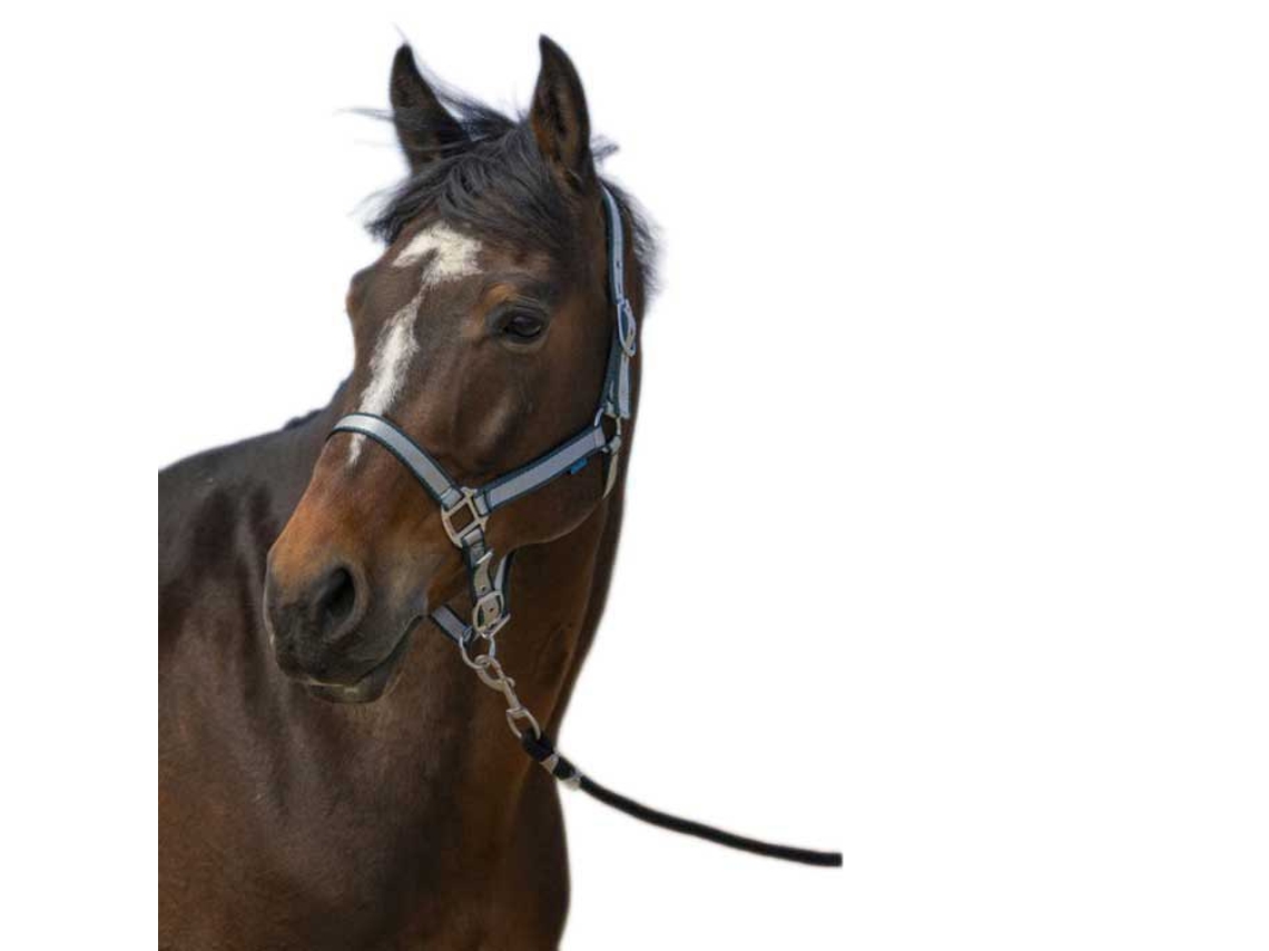 Cabeçada Nylon Soft Verde Fullnorton Equestrian