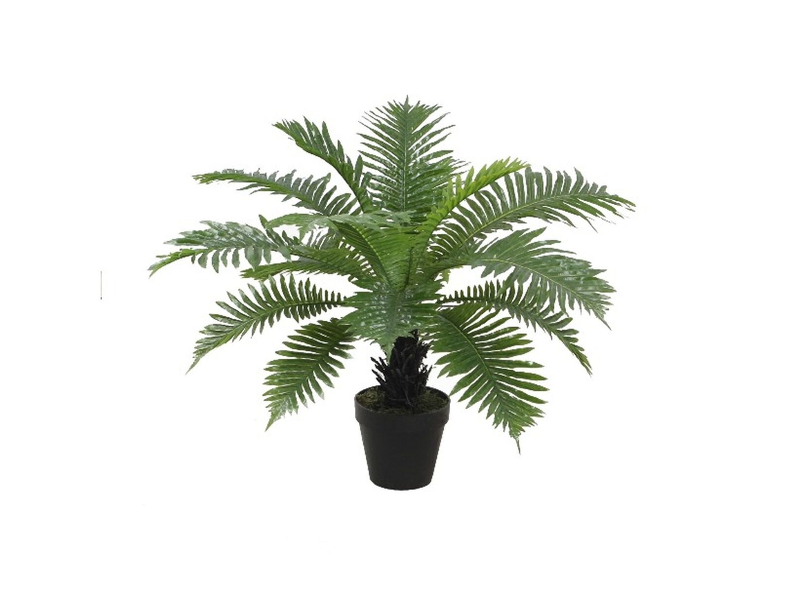 Planta Decorativa Home Esprit Pvc Pteridófitas 80 X 80 X 60 Cm