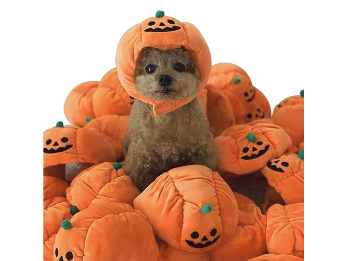 Chapéu De Abóbora Halloween Para Pets Com Orelhas à Vista