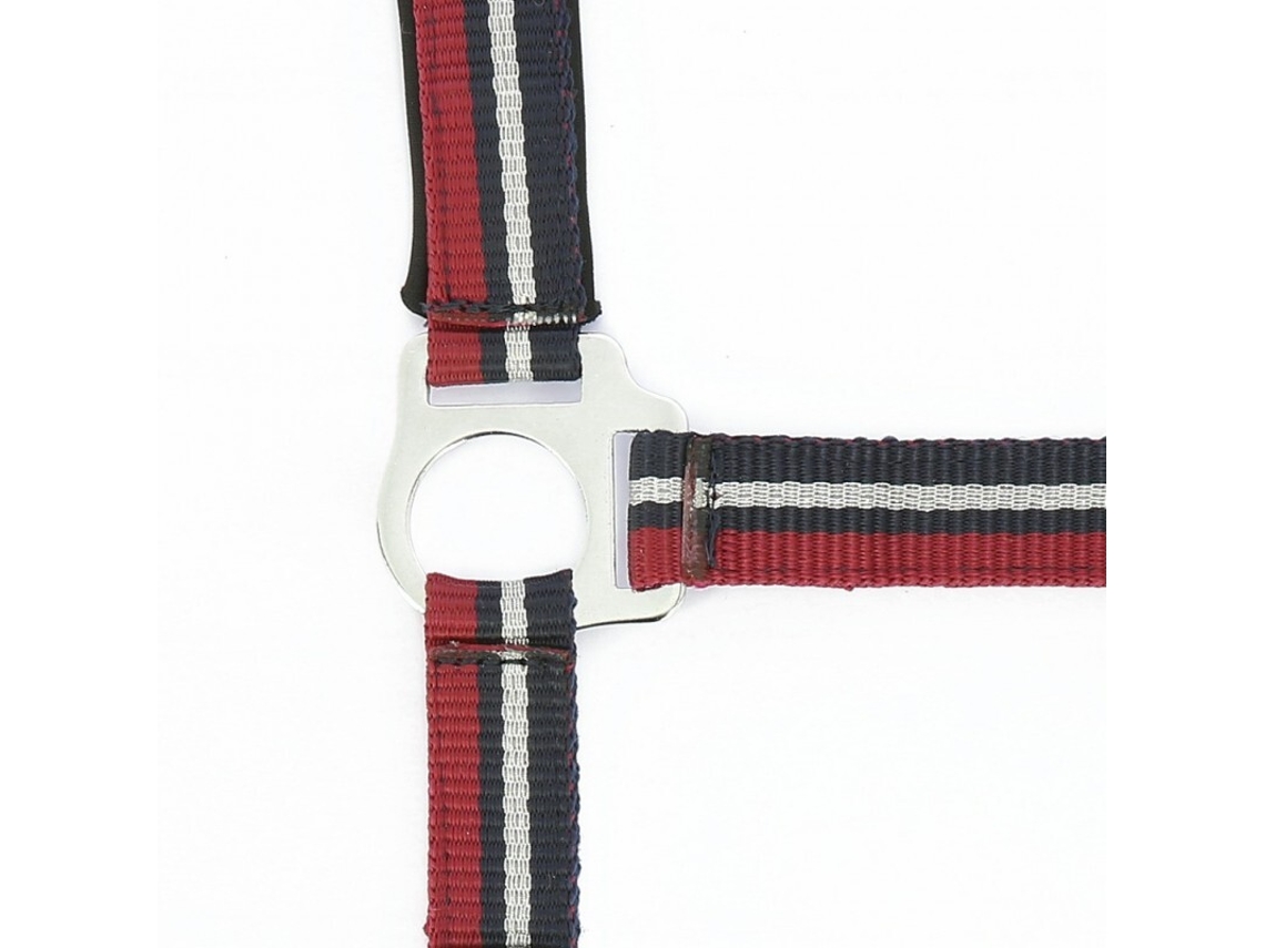 Cabresto para cavalos Norton Brillant