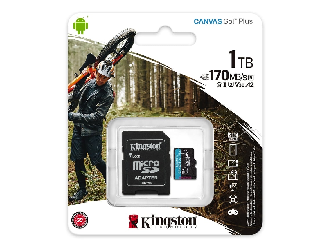 Cartão Micro SD KINGSTON SDCG3/1TB (1 TB)