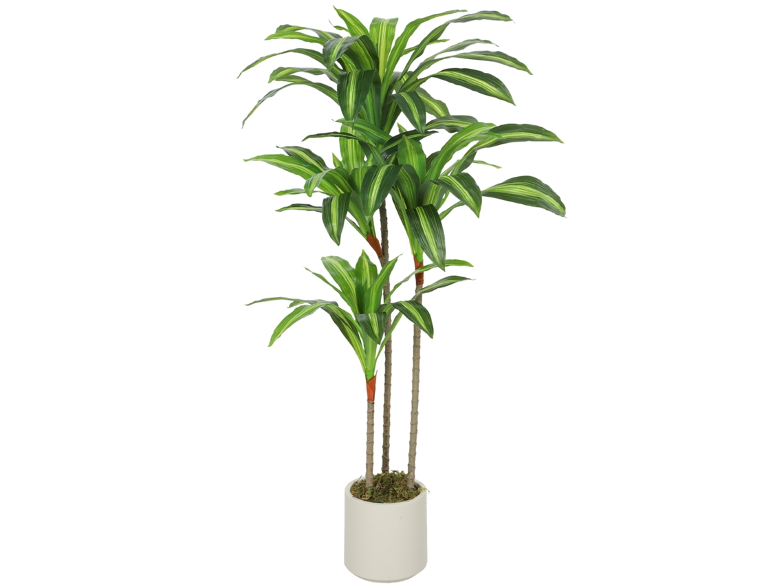 Planta Artificial de Dracaena Verde em Peva e Madeira com Pp e Vaso de Cimento. 60x40x120 Cm Ge