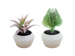 2Pcs Planta Suculenta em Vaso Criativa Pequenos Ornamentos NEVEANCE