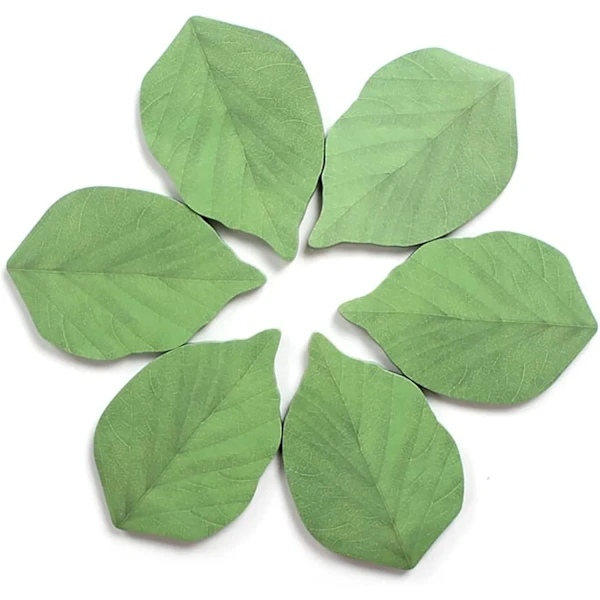 Blocos De Notas Adesivas, 6 Unidades, Formato De Folha, Removíveis, Verde, Para Escritório