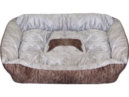 Deal of the day