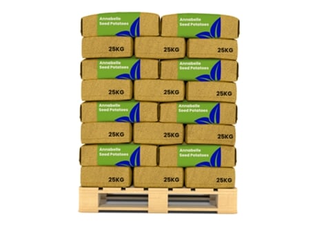 Batata De Semente - Annabelle A 28/32 - 40x 1000 Kg - Organifer