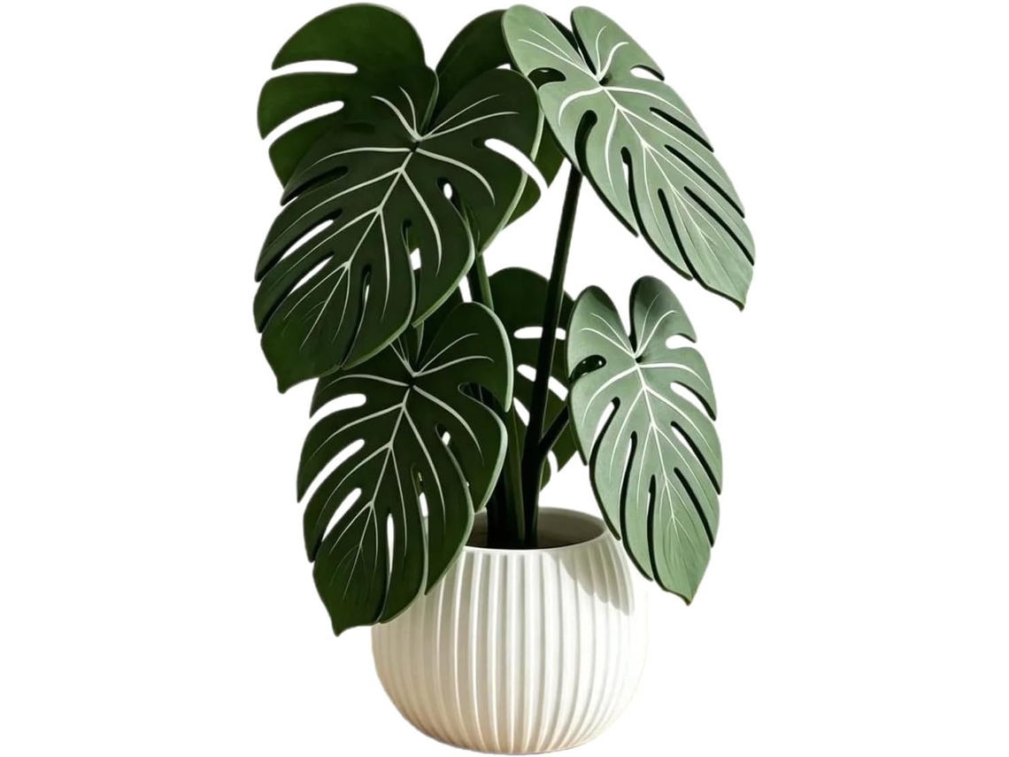 Dessous De Verre Monsa Em Forma De Planta,