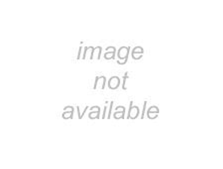 Livro Quer Conhecer As Cores? De Autora: Rose Borges Ilustrador: Felipe Reis (português Do Brasil)