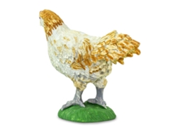 SAFARI Ameraucana Chicken