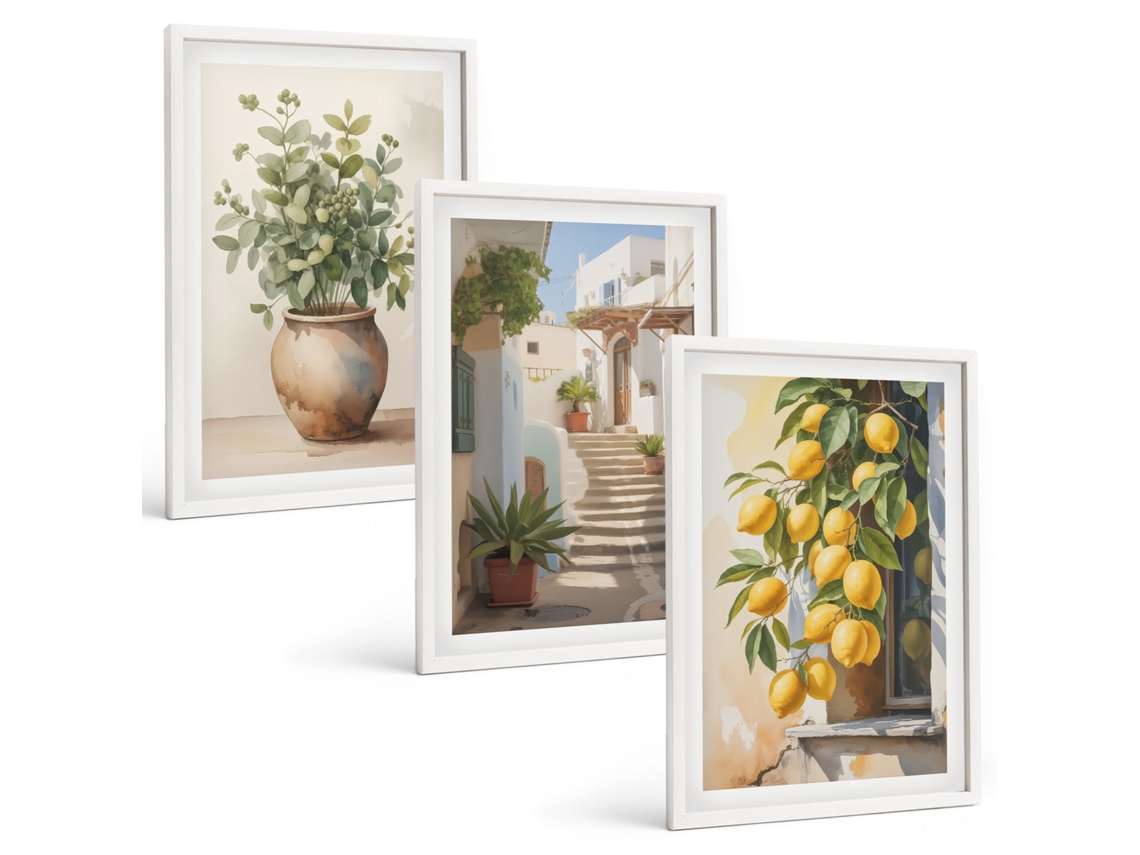 Conjunto De Pinturas Plantas, Plantas Em Vasos, Limões, Rua Espelharte (3 Peças 40x60 Cm)